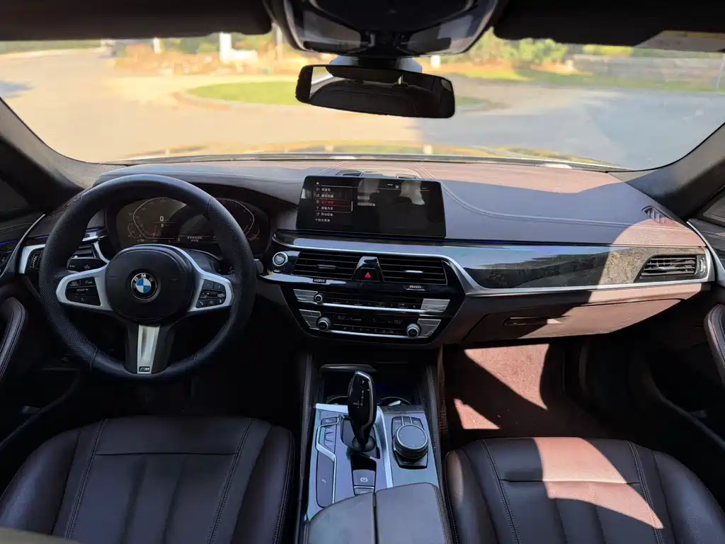 BMW 5 Series — миниатюра 6