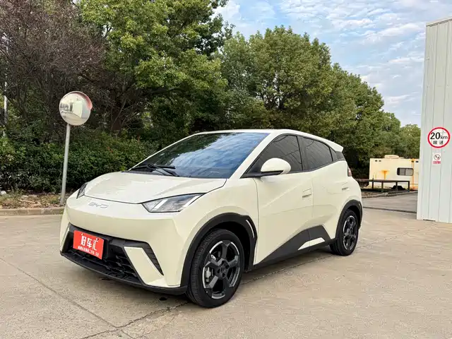 BYD Seagull