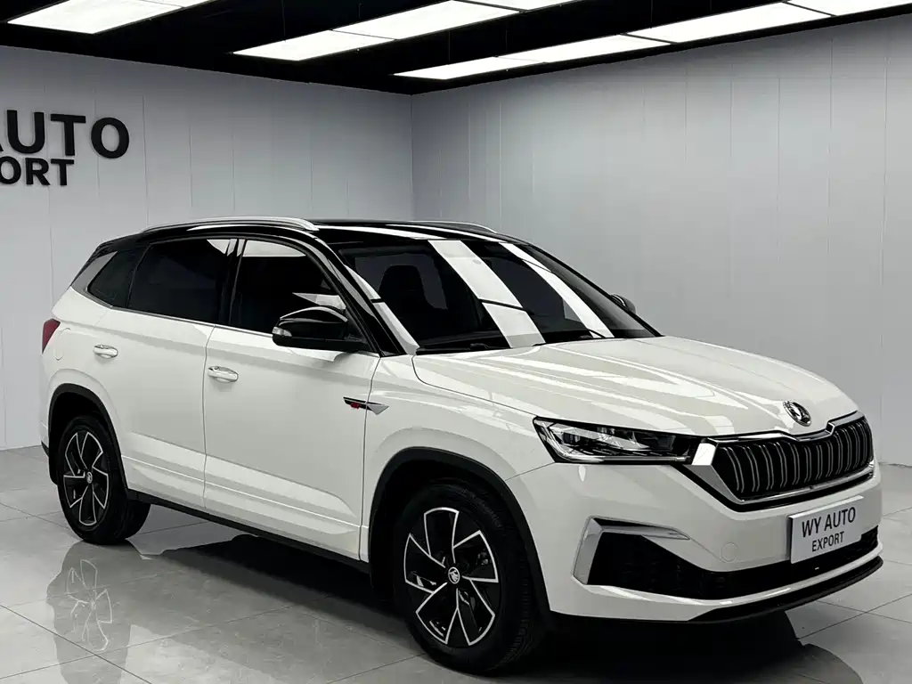Skoda Kamiq — миниатюра 3