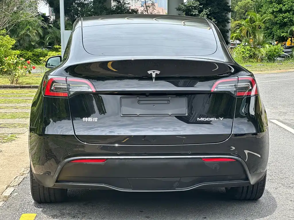 Tesla Model Y — миниатюра 12