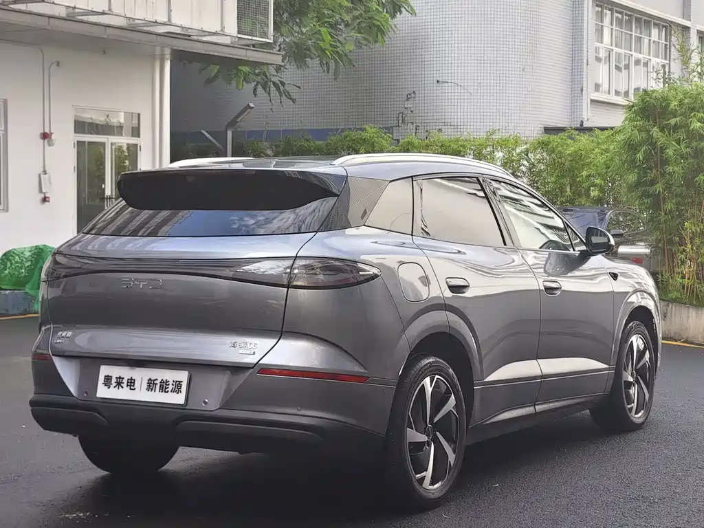 BYD Haisi 06 — миниатюра 7