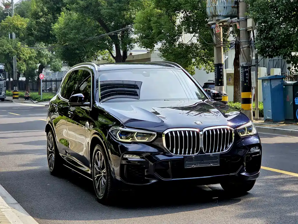 BMW X5 (Import) — миниатюра 3