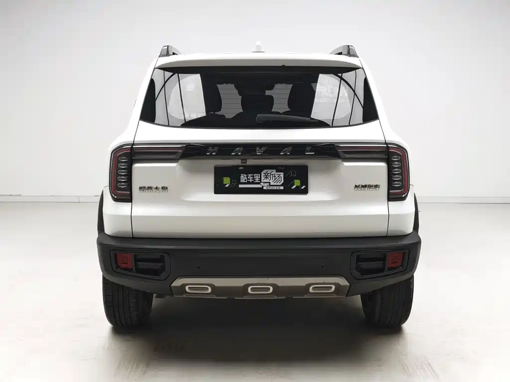 Haval Big Dog — миниатюра 5