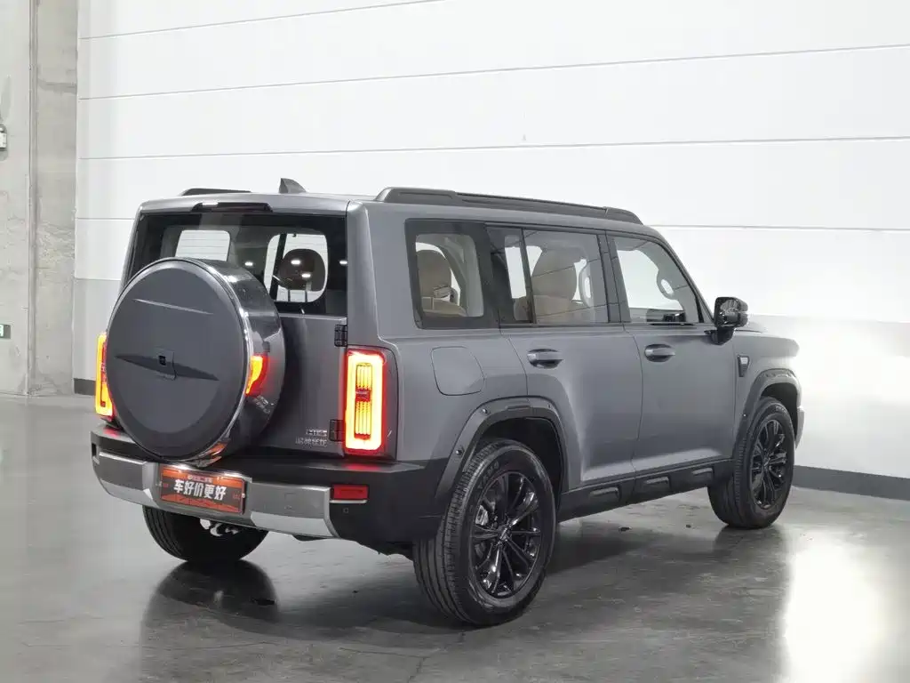 Haval Menglong New Energy — миниатюра 2