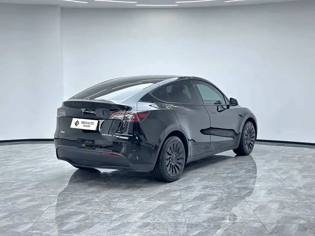 Tesla Model Y — миниатюра 4