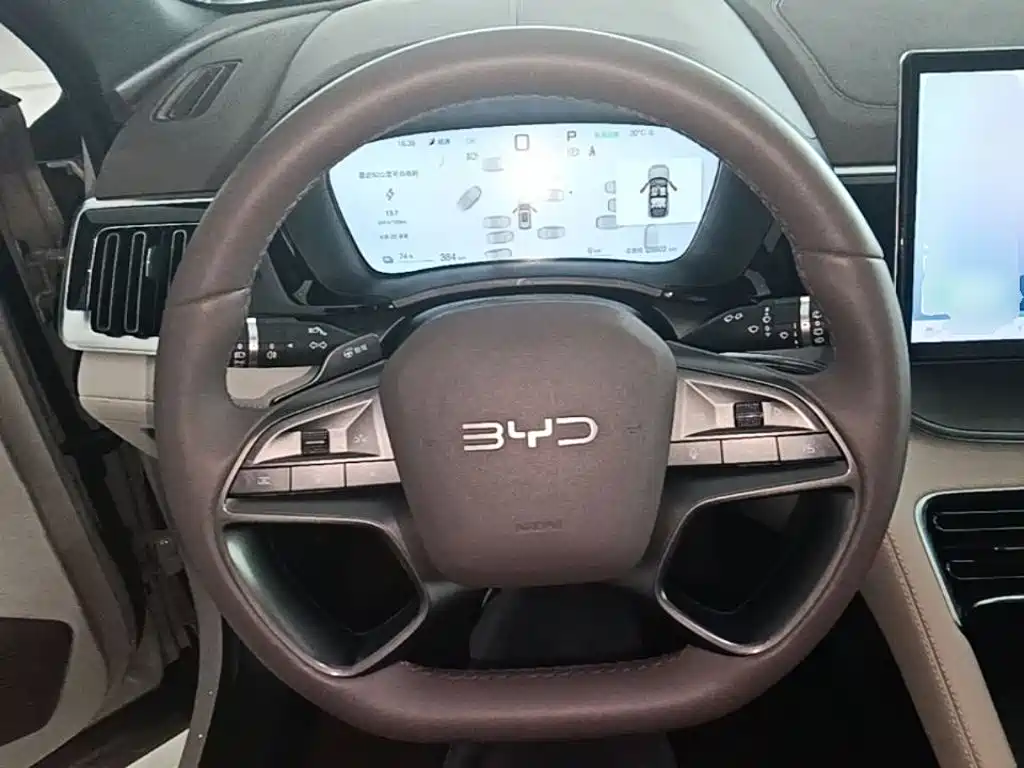 BYD PLUS New Energy — миниатюра 11