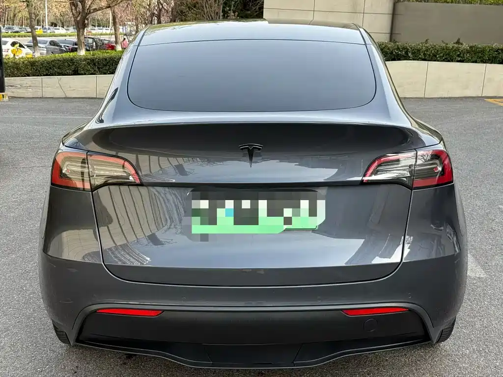 Tesla Model Y — миниатюра 5