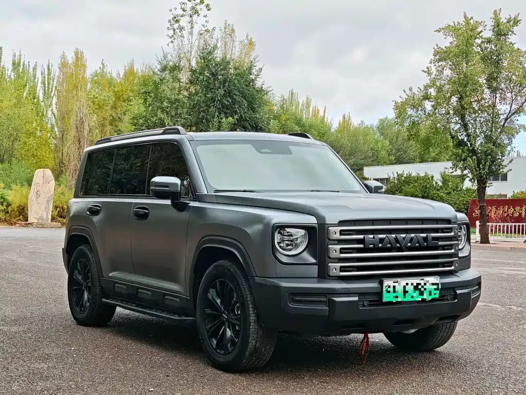 Haval Menglong New Energy — миниатюра 2