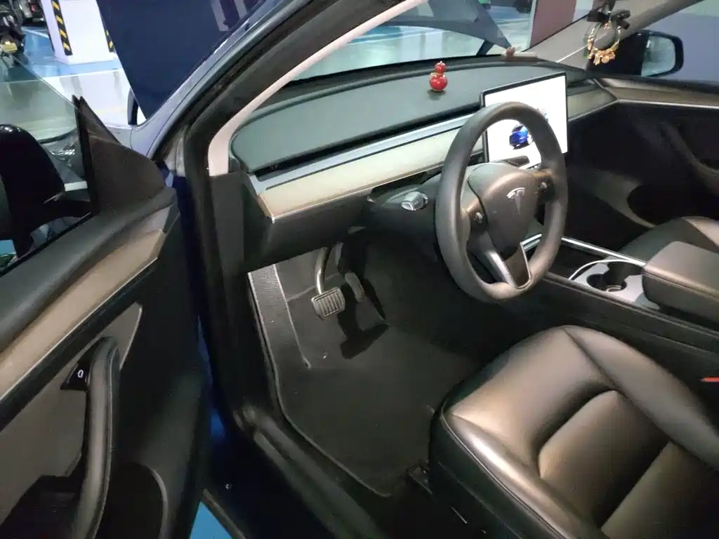 Tesla Model Y — миниатюра 12