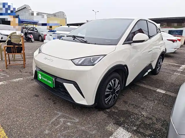 BYD Seagull