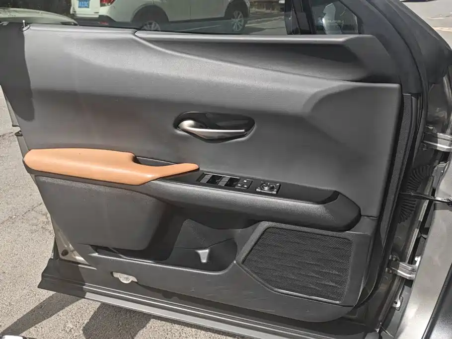 Lexus UX 2020 300e