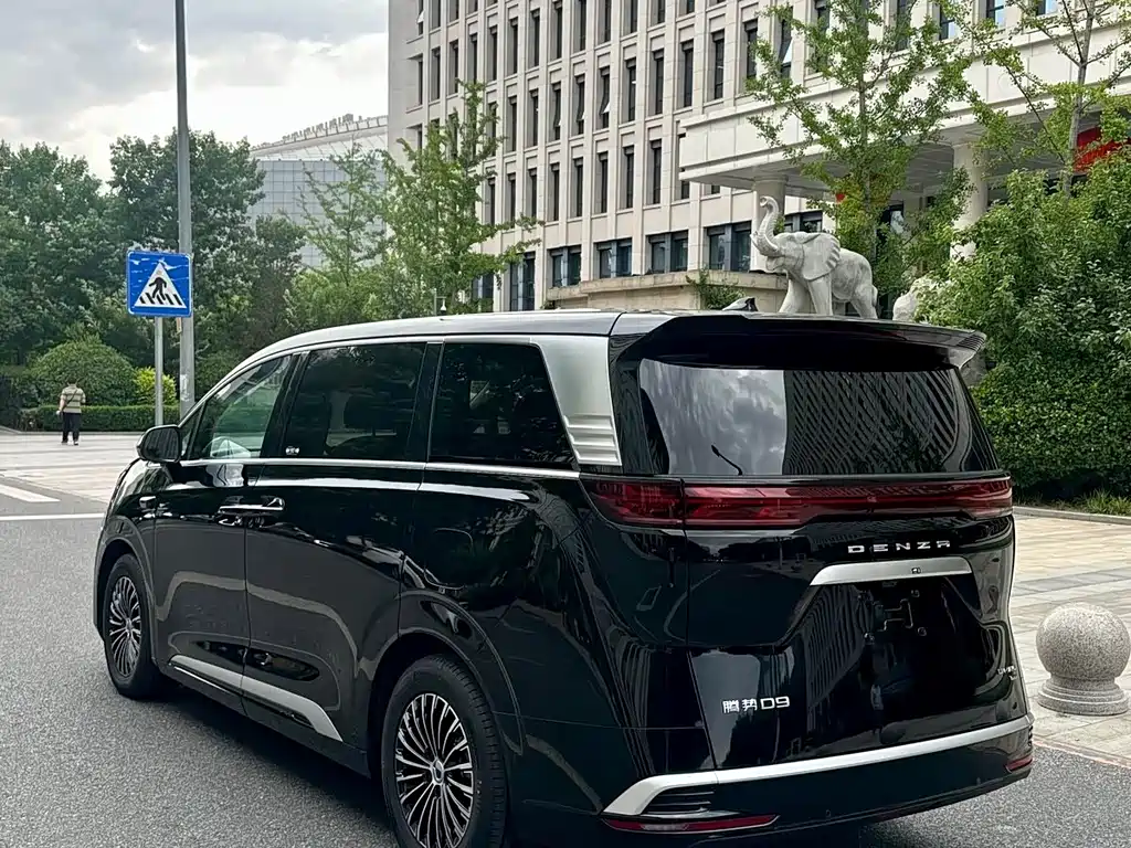 Denza Denza D9 — миниатюра 5
