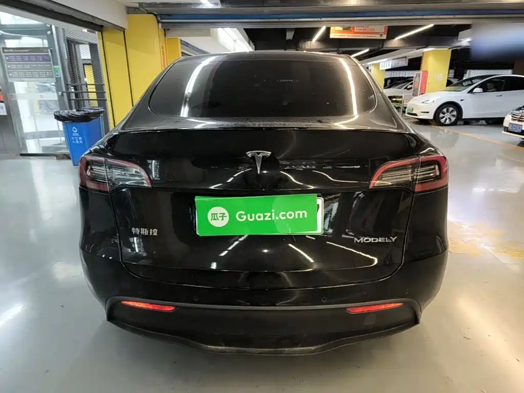 Tesla Model Y — миниатюра 6