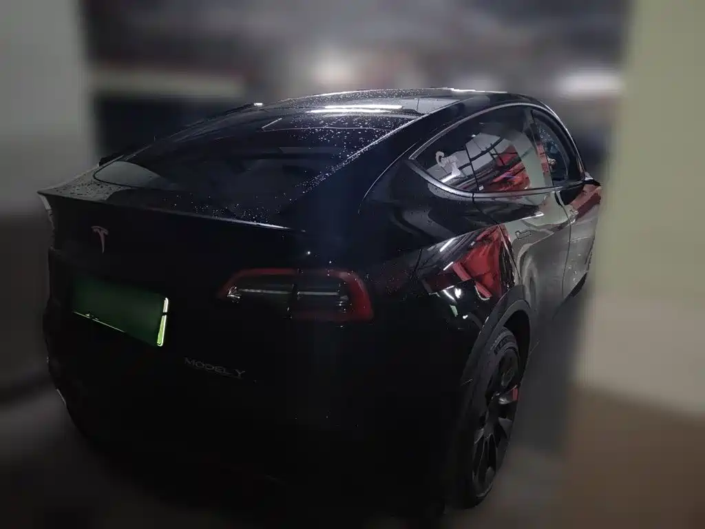 Tesla Model Y — миниатюра 6
