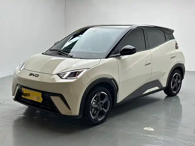2024 BYD Seagull