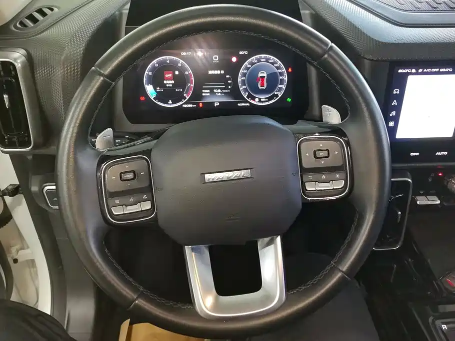 Haval 长城大狗 — миниатюра 15