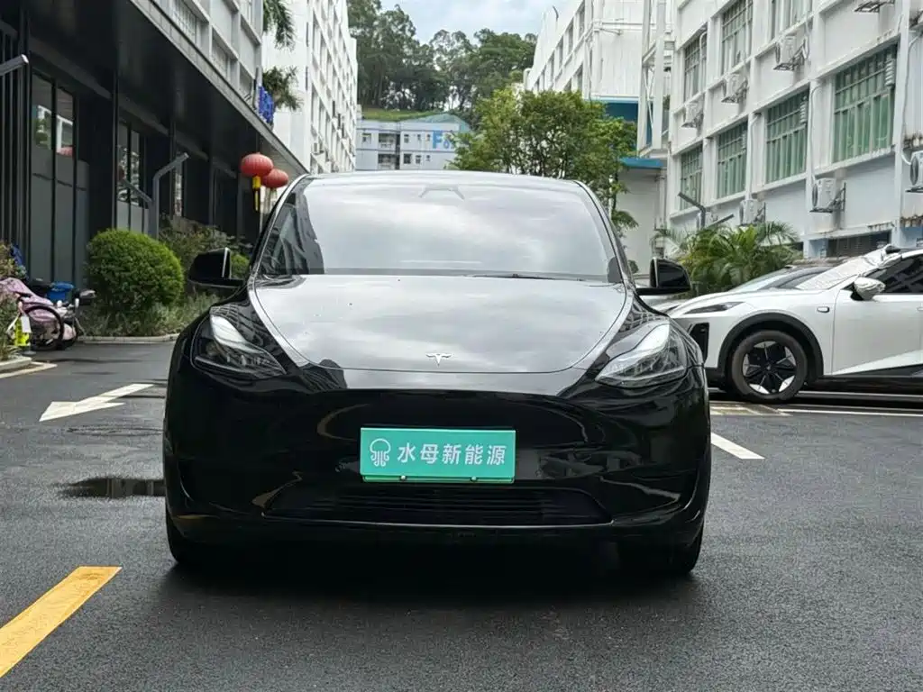 Tesla Model Y — миниатюра 2