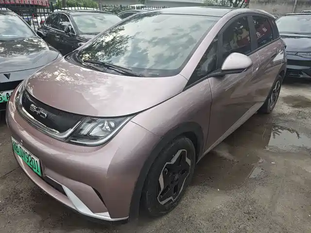 2022 BYD Dolphin