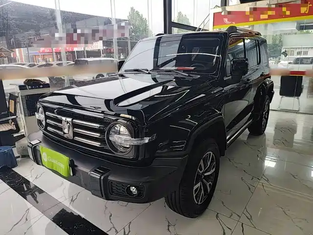 2024 TANK 300