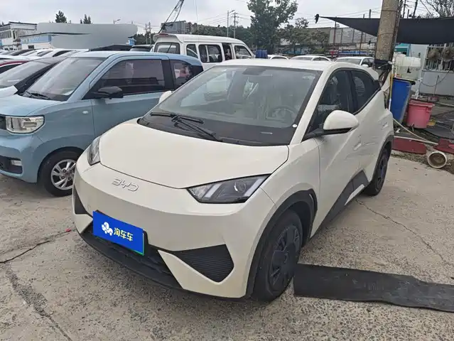 BYD 海鸥