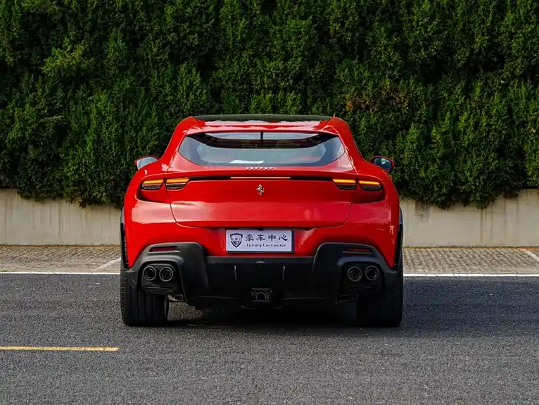 Ferrari Purosangue 6.5L V12, фото 6