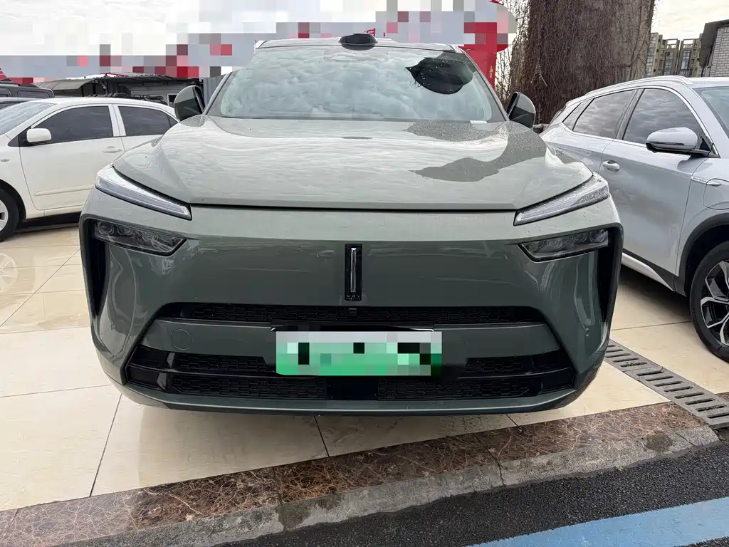 WEI PAI WEI BRAND BLUE MOUNTAIN