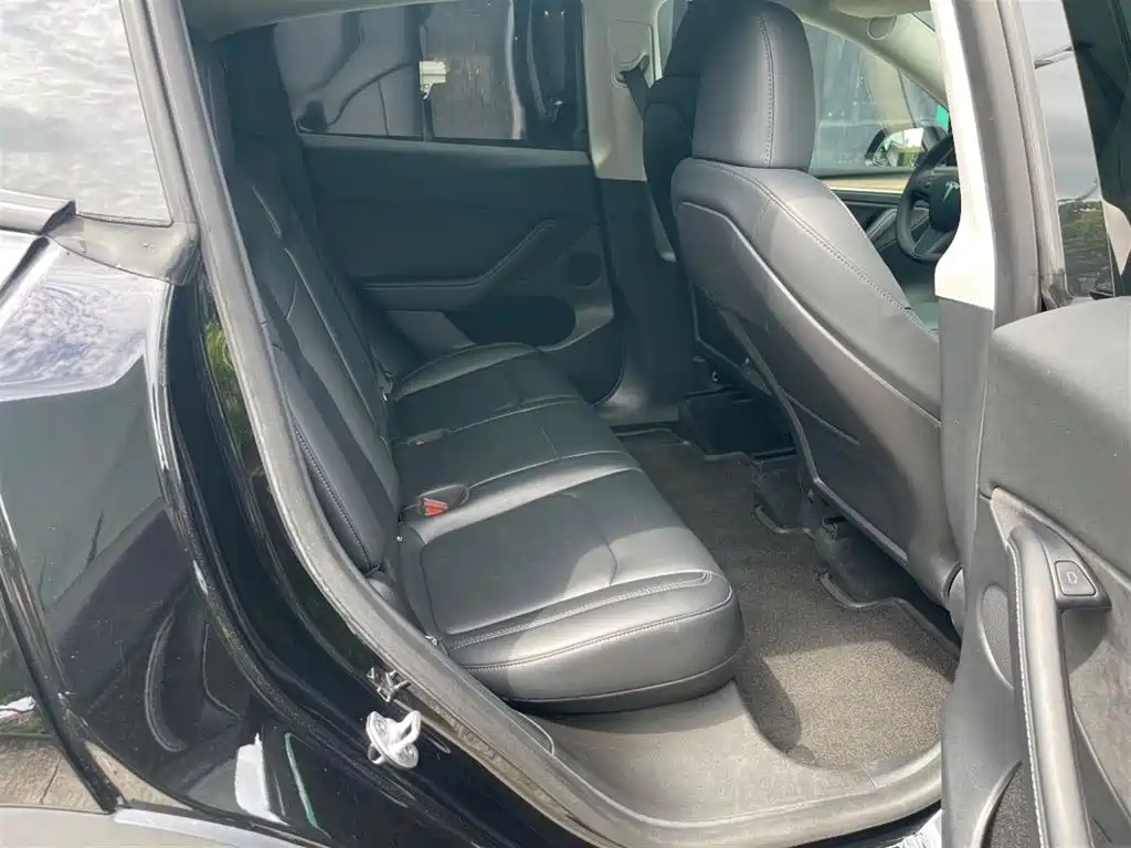Tesla Model Y — миниатюра 13