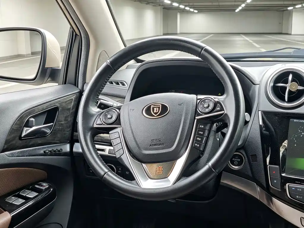 BYD Tang New Energy — миниатюра 10