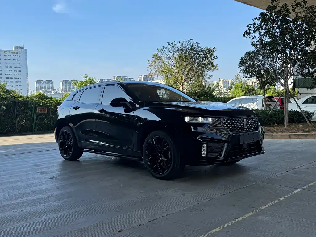 WEI PAI WEI BRAND VV7