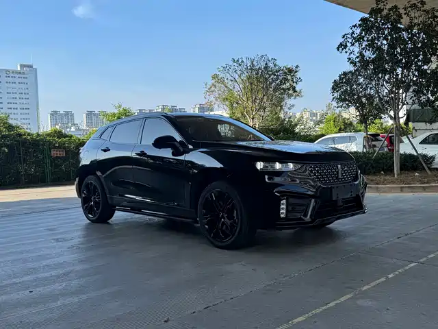 WEI PAI WEI BRAND VV7