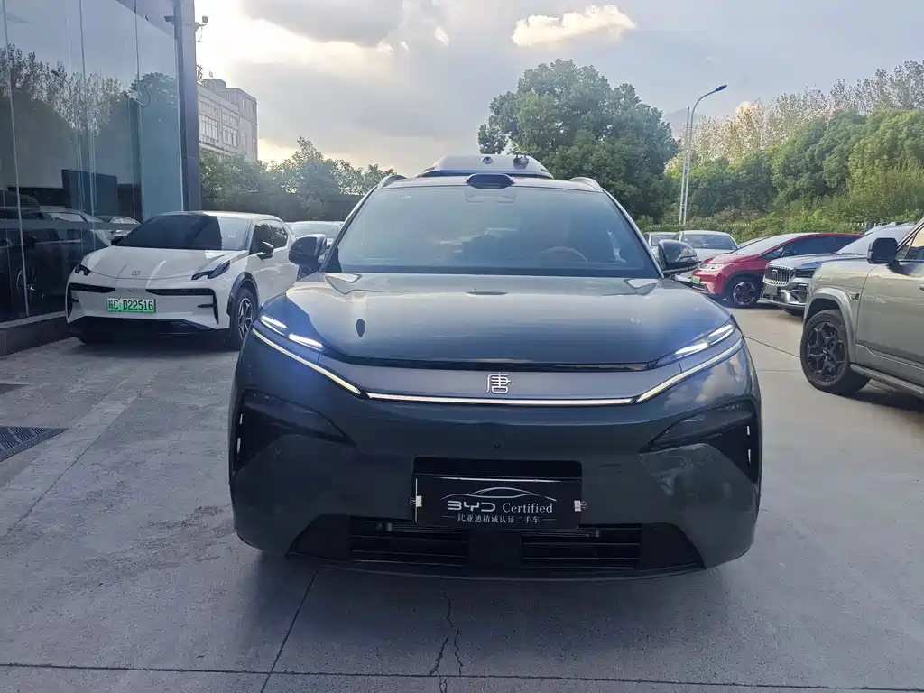 BYD Дон Л. — миниатюра 2