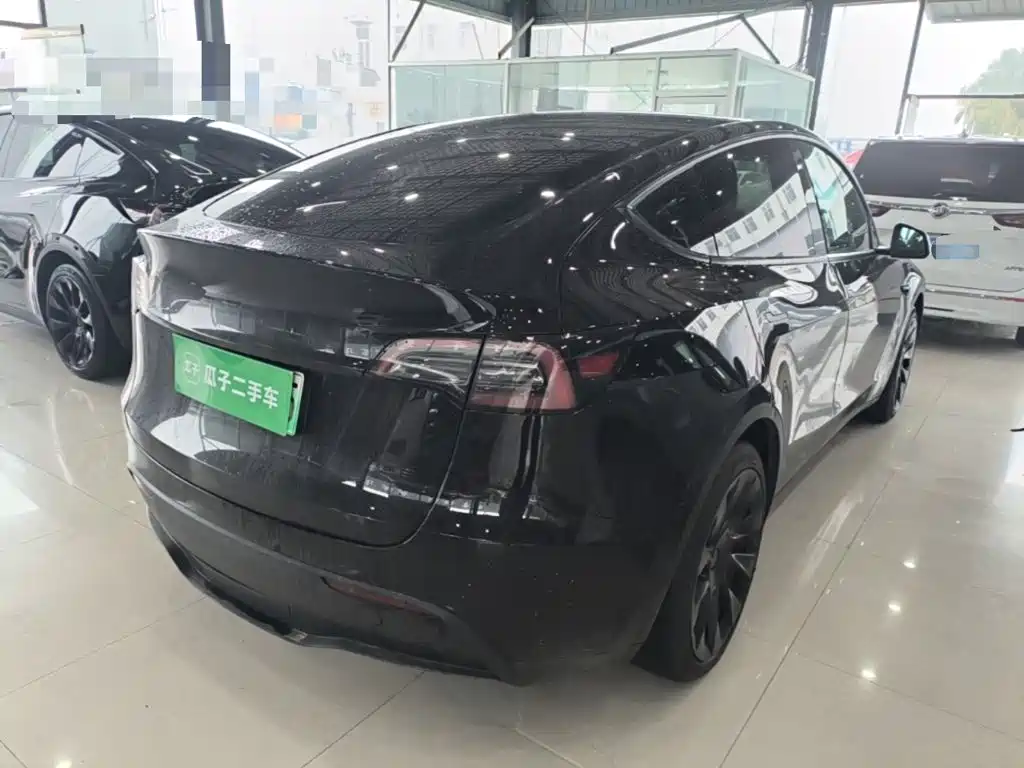 Tesla Model Y — миниатюра 7