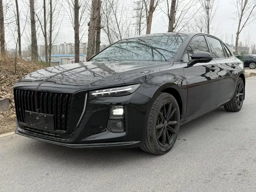 Hongqi Hongqi H5 2024