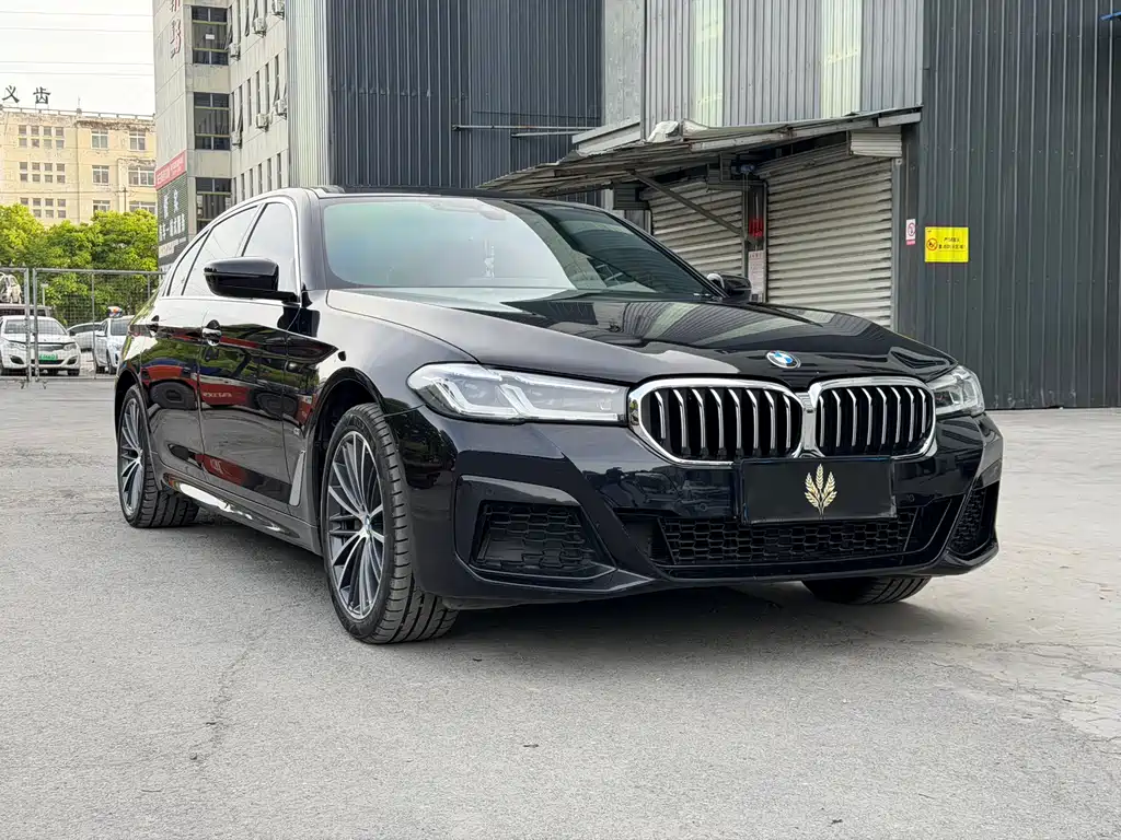 BMW 5 Series 5 2022 530Li Lead M Sport