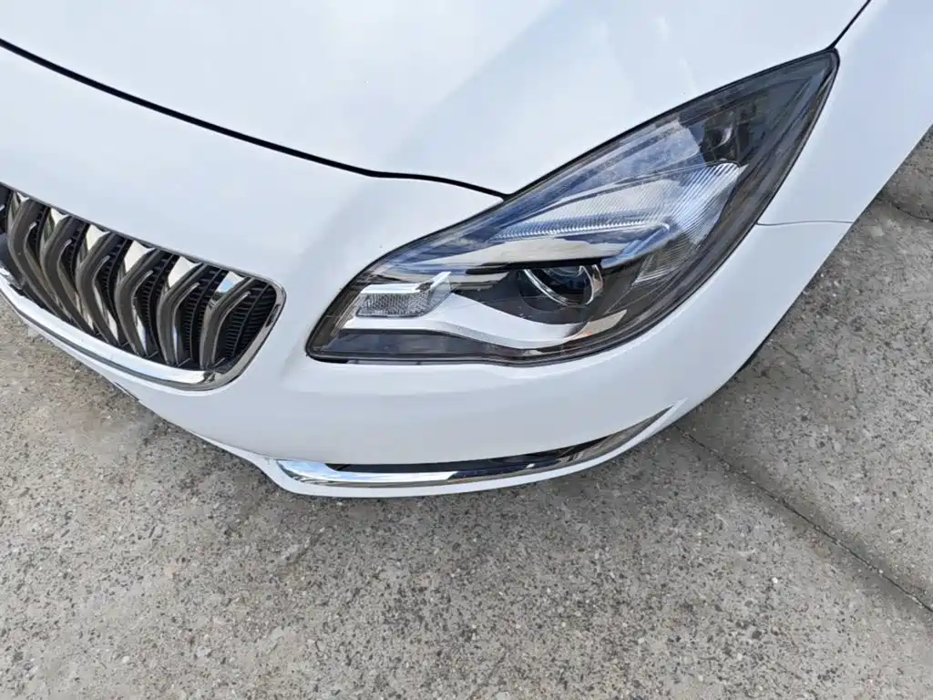 Buick Regal — миниатюра 24