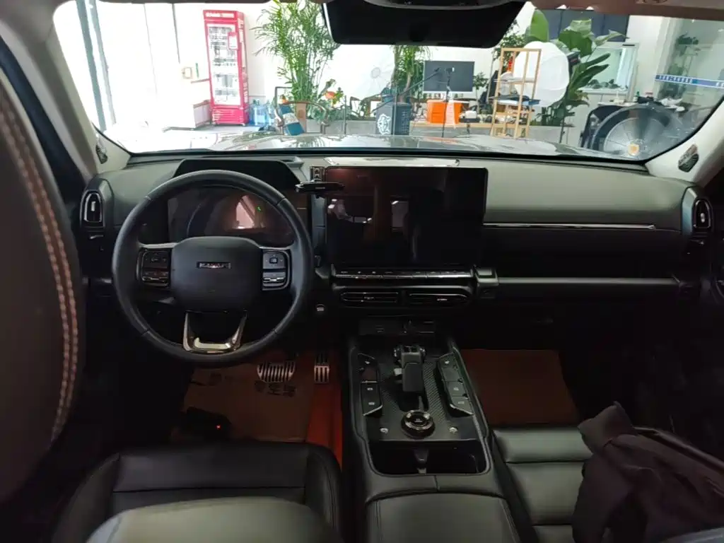 Haval Плюс новая энергия. — миниатюра 10