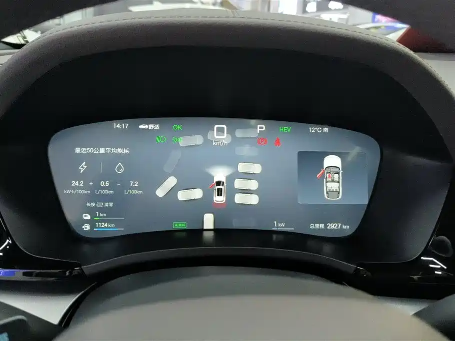 BYD SONGJIANG NEW ENERGY