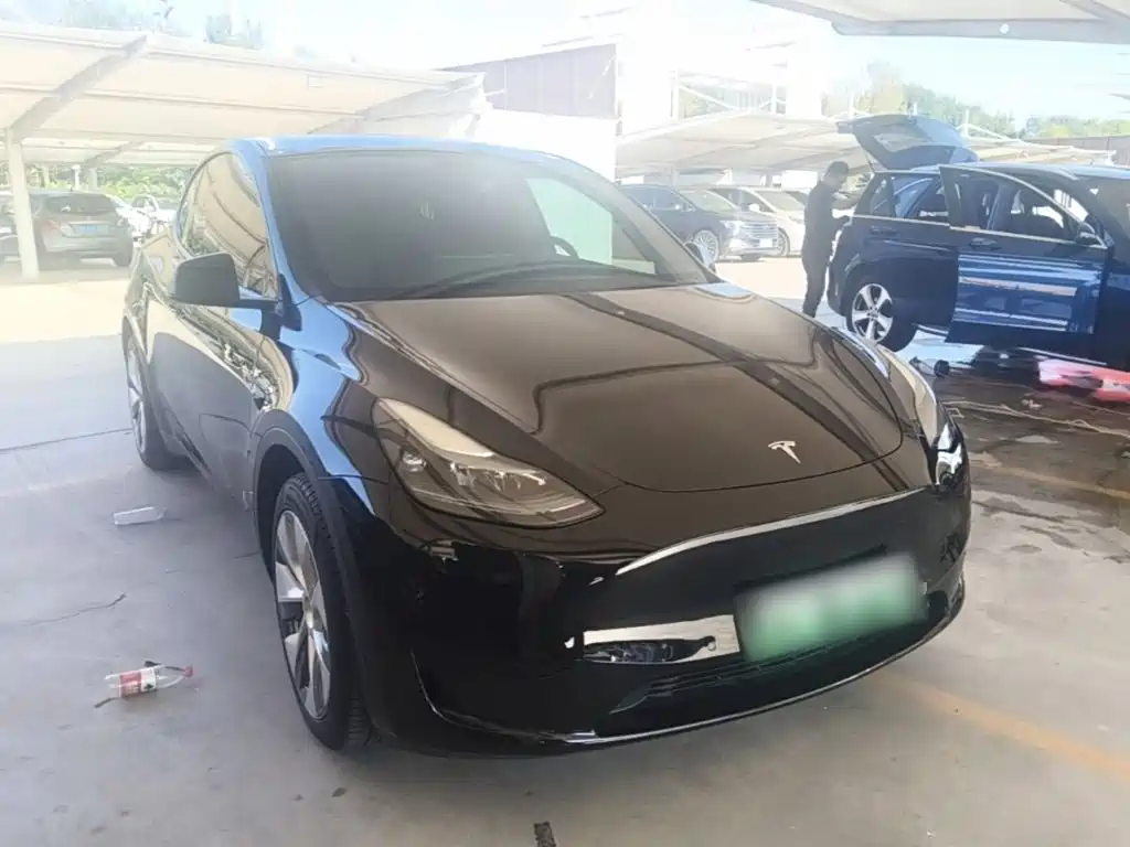 Tesla Model Y — миниатюра 4