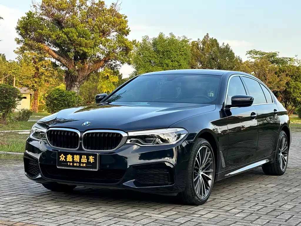 BMW 5 Series 2020