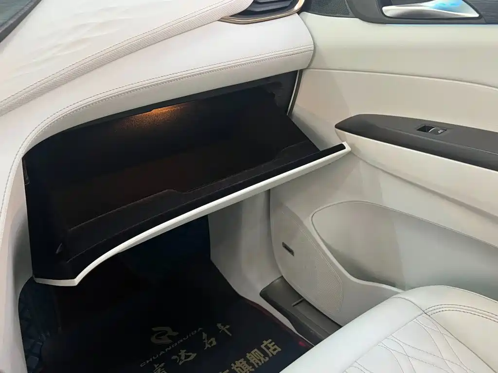Buick GL8 Avenir Avenir 4-seat Premium Ceremony Edition, фото 18