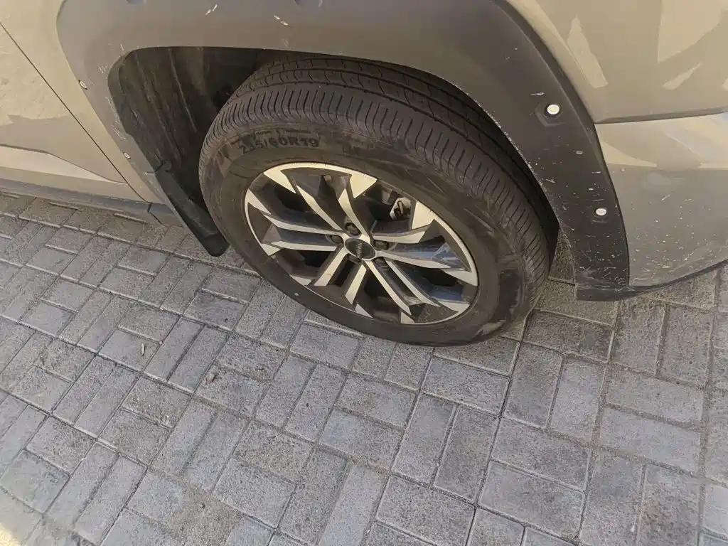 Haval Big Dog PLUS — миниатюра 24