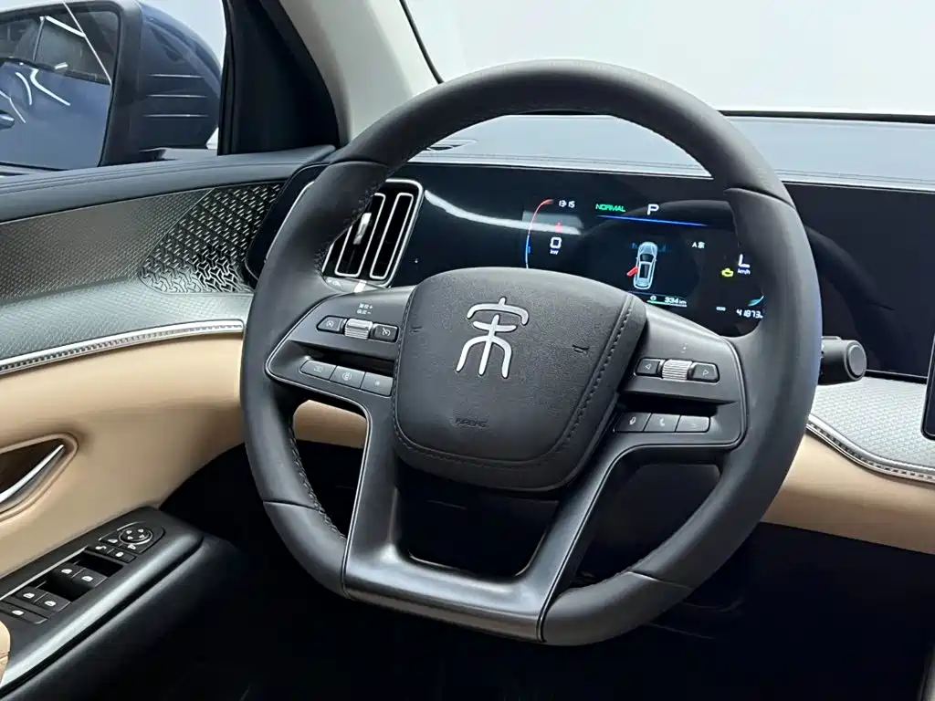 BYD Pro New Energy — миниатюра 19