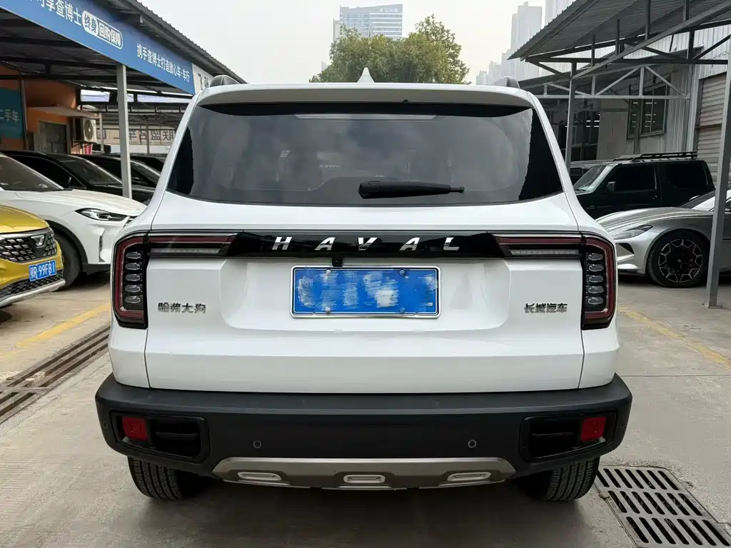 HAVAL BIG DOG