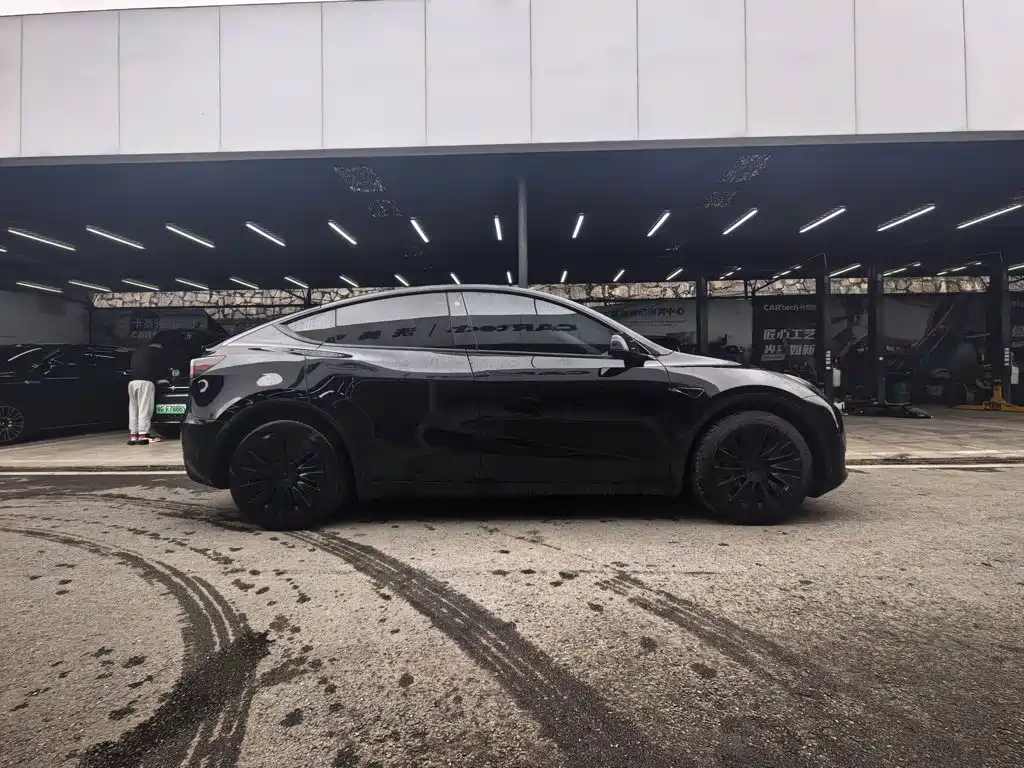 Tesla Model Y — миниатюра 6