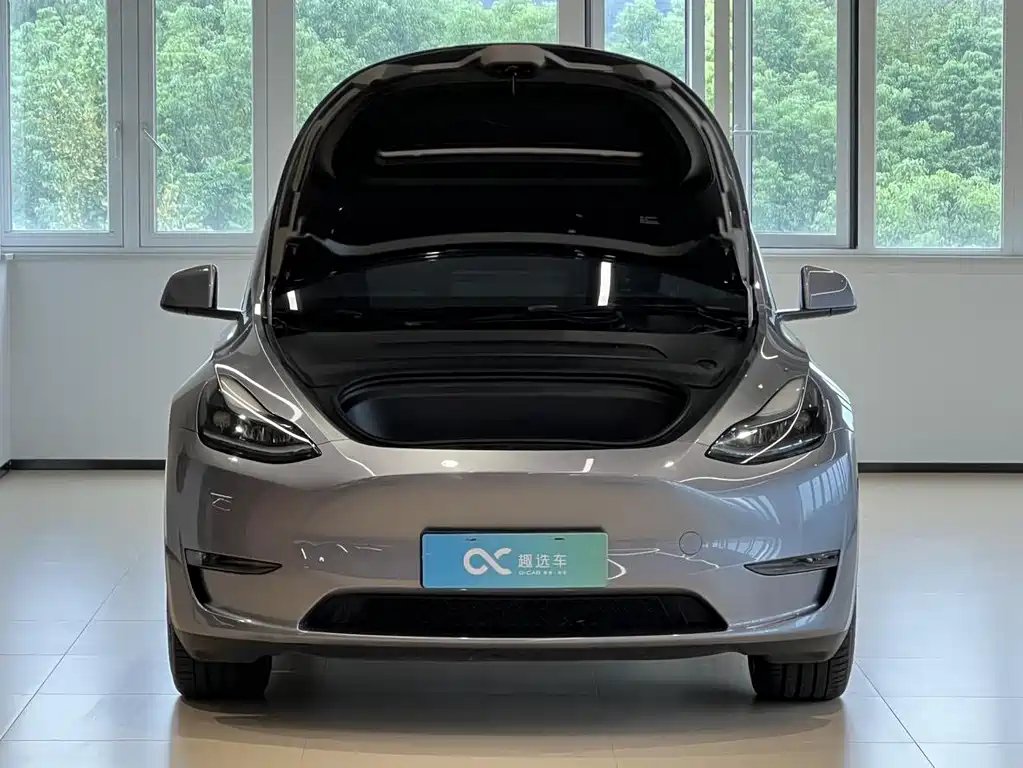 Tesla Model Y — миниатюра 15