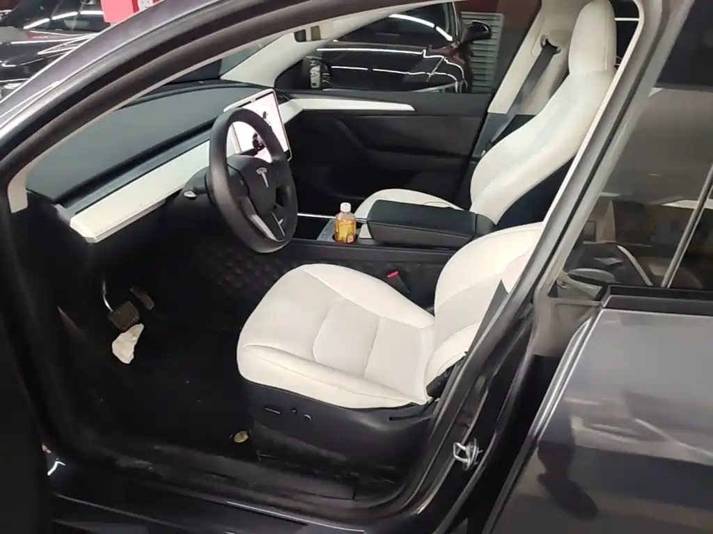 Tesla Model Y — миниатюра 15