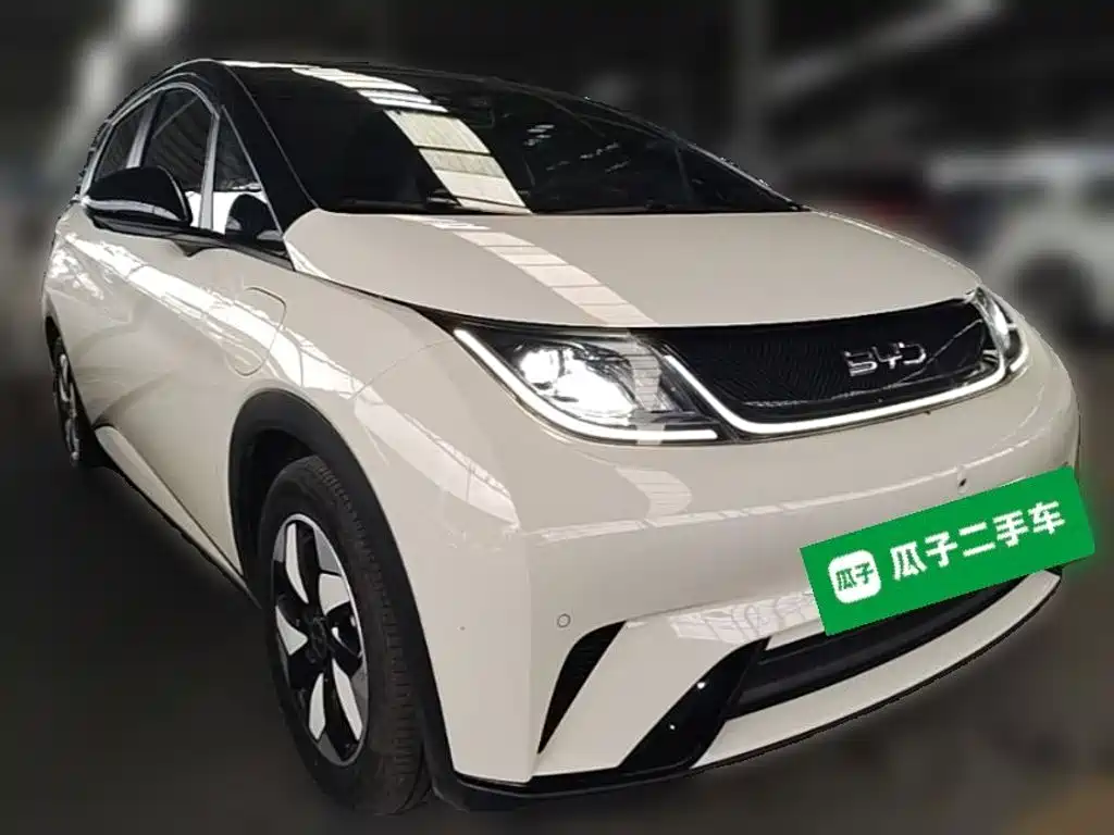 BYD Dolphin — миниатюра 6