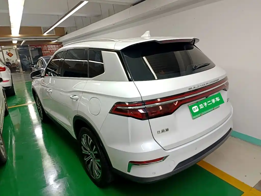 BYD Pro New Energy — миниатюра 5