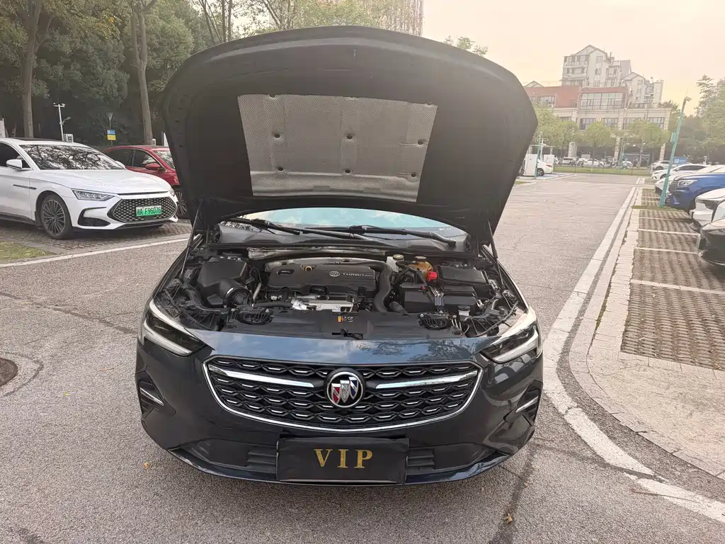 Buick Regal — миниатюра 15