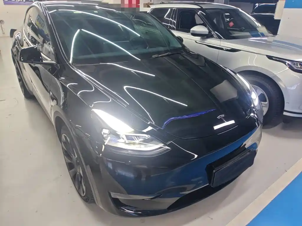 Tesla Model Y — миниатюра 4